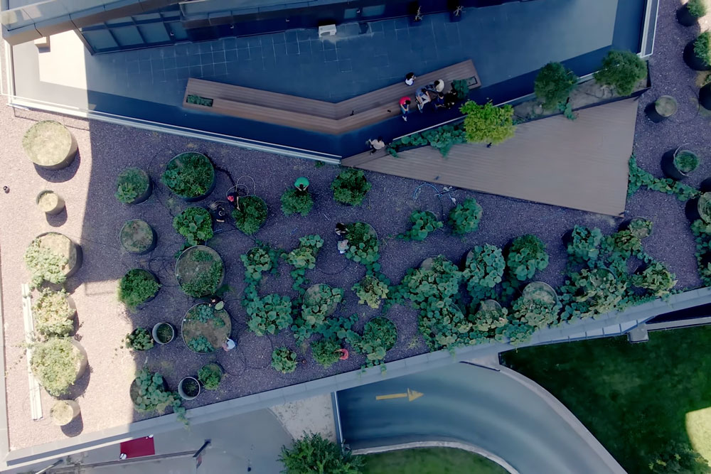 our-sustainability-vision