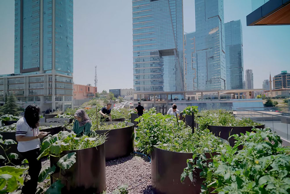 tigas-sustainable-practices